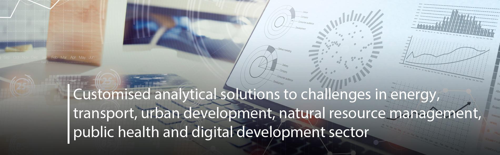 Customized Analytical Solutions